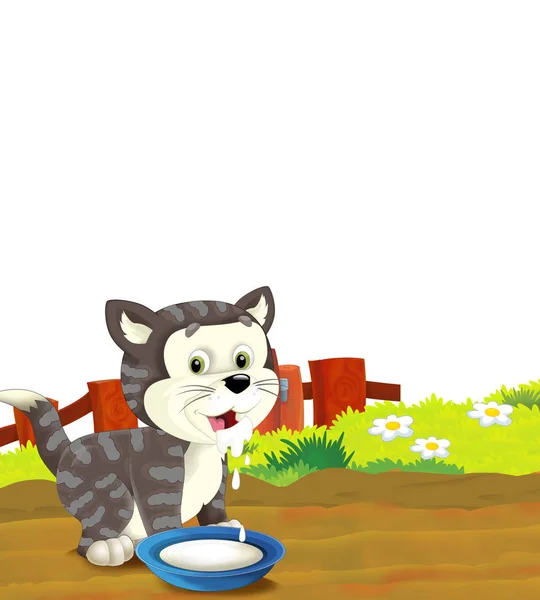 以白色背景的猫在农场玩乐的卡通片。儿童图解 — 图库照片