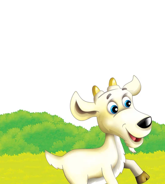 Escena de granja de dibujos animados con cabra animal divirtiéndose sobre fondo blanco - ilustración para niños —  Fotos de Stock