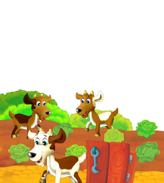 Cartoon Farm scena z kozą zwierząt zabawy na białym tle - ilustracja dla dzieci — Zdjęcie stockowe