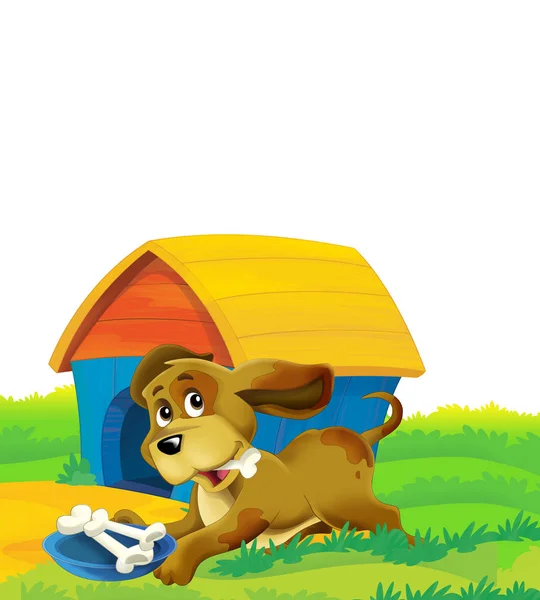 Cartoon scene with dog on a farm having fun on white background - illustration for children — Stock Photo, Image