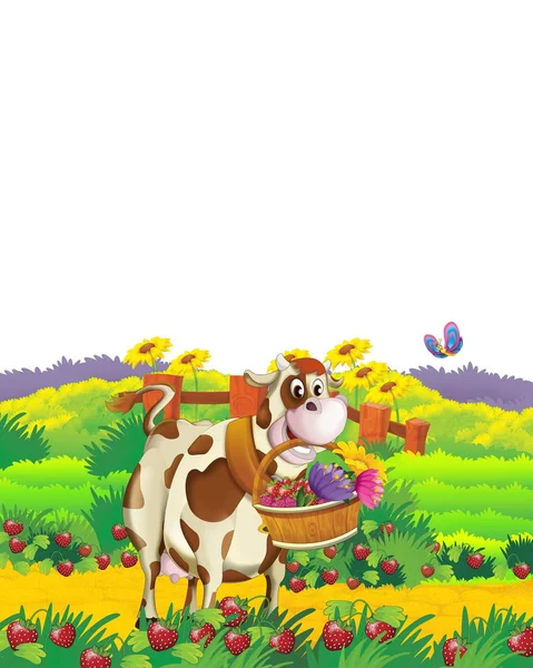 Cartoon scene with cow having fun on the farm on white background - illustration for children — Stock Photo, Image