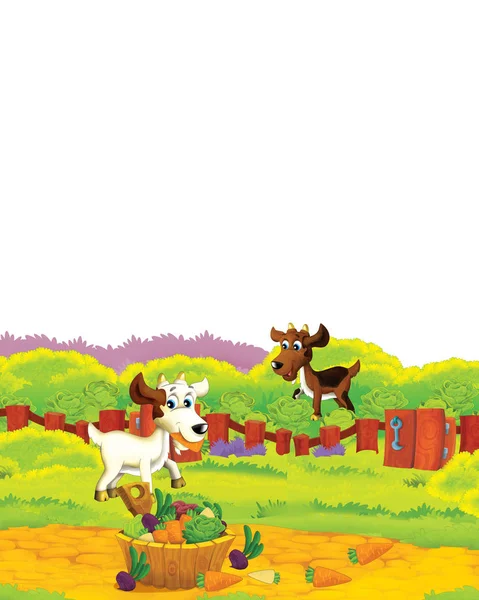 Scène de ferme de bande dessinée avec chèvre animale s'amusant sur fond blanc illustration pour les enfants — Photo