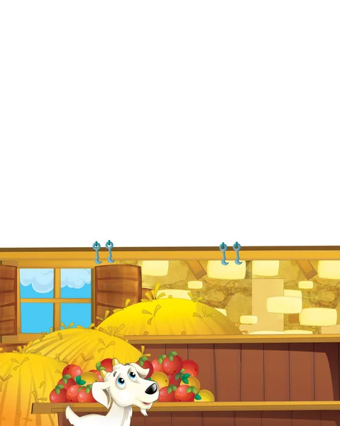 Cartoon scene with barn inside on the farm on white background - illustration for children — Stock Photo, Image