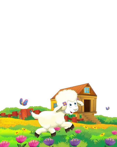 Cartoon scene with sheep having fun on the farm on white background - illustration for children — Stock Photo, Image