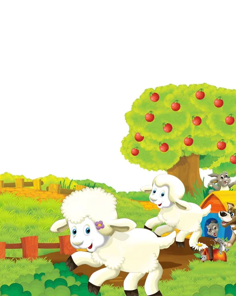 Cena dos desenhos animados com ovelhas se divertindo na fazenda em fundo branco - ilustração para crianças — Fotografia de Stock