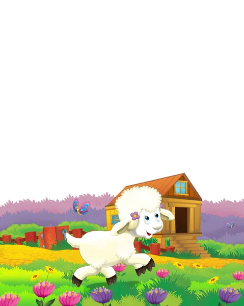 Tecknad scen med får som har roligt på gården på vit bakgrund - illustration för barn — Stockfoto