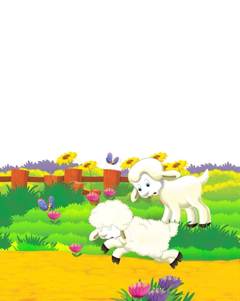 Cartoon scene with sheep having fun on the farm on white background - illustration for children — Stock Photo, Image