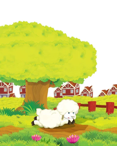 Cartoon scene with sheep having fun on the farm on white background - illustration for children — Stock Photo, Image