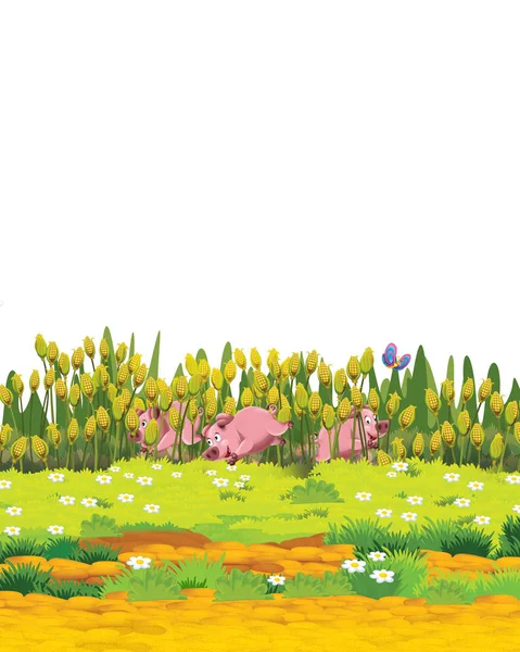 Cartoon scene with pig on a farm ranch having fun on white background - illustration for children — Stock Photo, Image