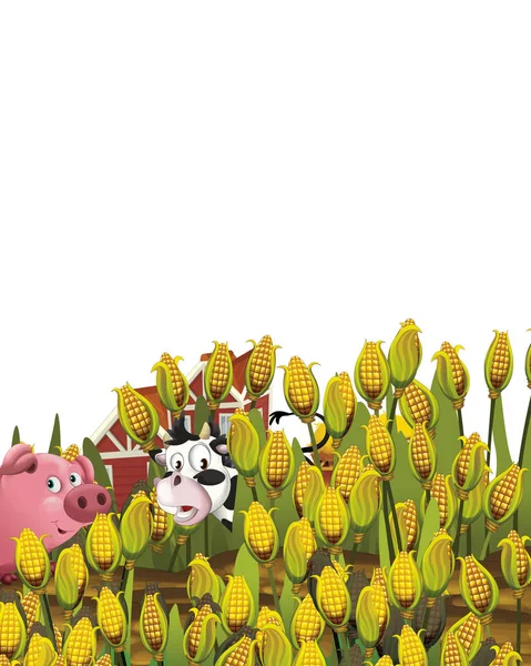 Σκηνή κινουμένων σχεδίων με χοίρους και αγελάδες σε ένα αγρόκτημα ράντσο διασκεδάζοντας σε λευκό φόντο - εικονογράφηση για τα παιδιά — Φωτογραφία Αρχείου