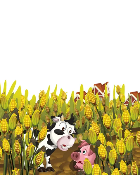 Cartoon scene met varken en koe op een boerderij ranch plezier op witte achtergrond - illustratie voor kinderen — Stockfoto