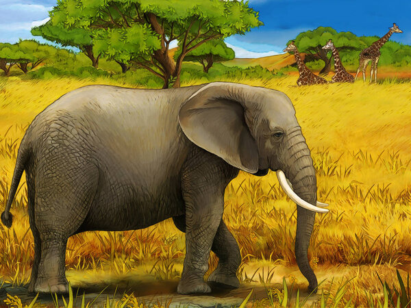 мультфильм сцена со слоном семейное сафари иллюстрации для детей
