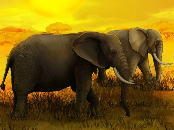 Cena dos desenhos animados com elefante família safari ilustração para crianças — Fotografia de Stock