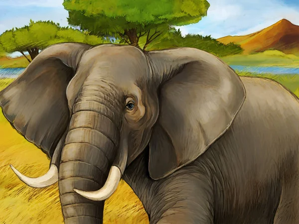 Escena de dibujos animados con elefante safari familiar ilustración para niños — Foto de Stock