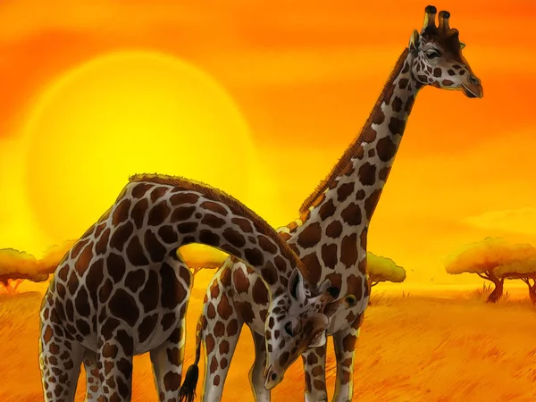 Cena de safári de desenhos animados com girafas família comendo no prado - ilustração para crianças — Fotografia de Stock