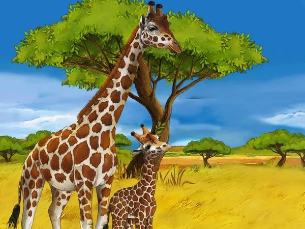 cartoon safari scene with giraffes family eating on the meadow - illustration for children