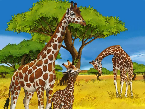 Cartoon safari scene with giraffes family eating on the meadow - illustration for children — Stock Photo, Image