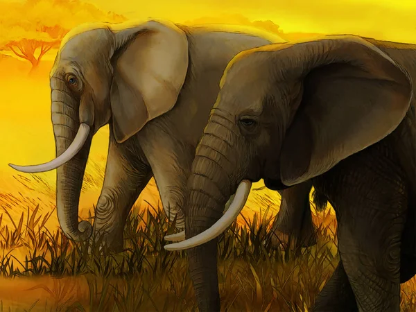 Escena de dibujos animados con elefante safari familiar ilustración para niños — Foto de Stock