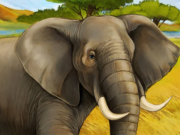 Scène de dessin animé avec éléphant famille safari illustration pour enfants — Photo