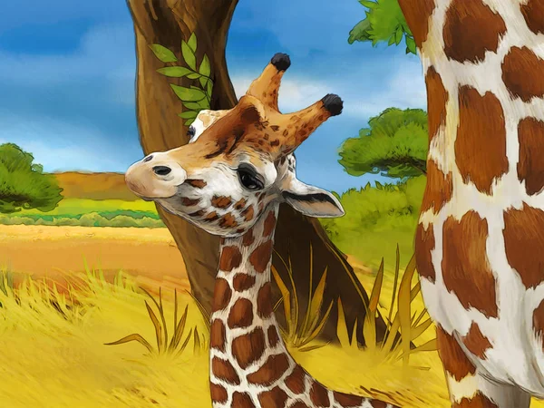 Cartoon safari scene with giraffes family eating on the meadow - illustration for children — Stock Photo, Image