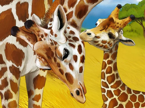 cartoon safari scene with giraffes family eating on the meadow - illustration for children