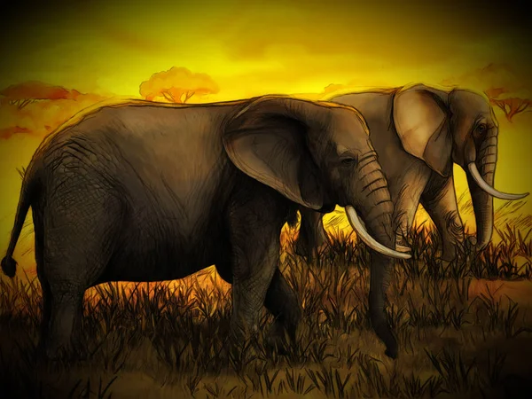 cartoon scene with elephant family safari illustration for child