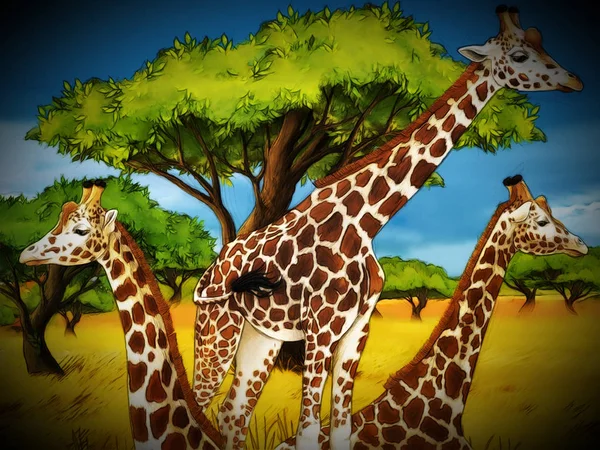 Dessin animé safari scène avec girafes famille manger sur la prairie  - — Photo