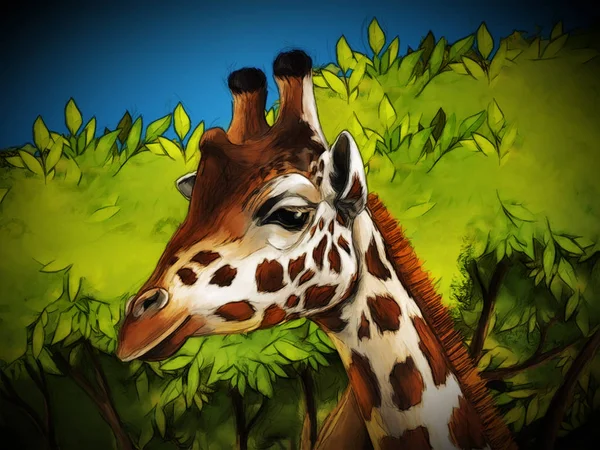 Dessin animé safari scène avec girafes famille manger sur la prairie  - — Photo