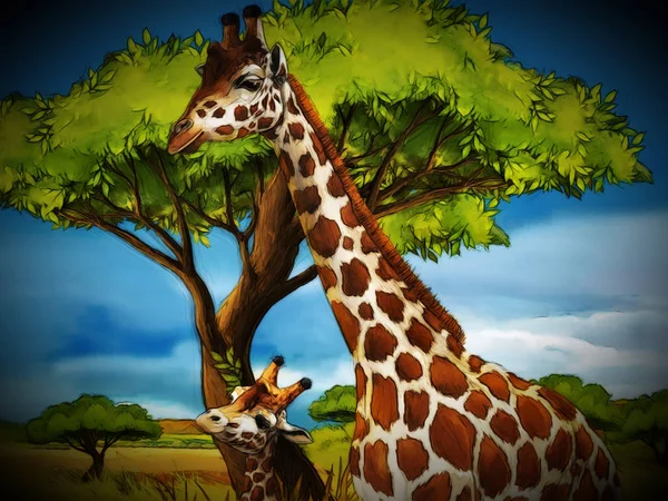 Dessin animé safari scène avec girafes famille manger sur la prairie  - — Photo