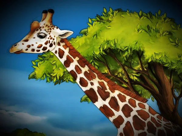 Dessin animé safari scène avec girafes famille manger sur la prairie  - — Photo