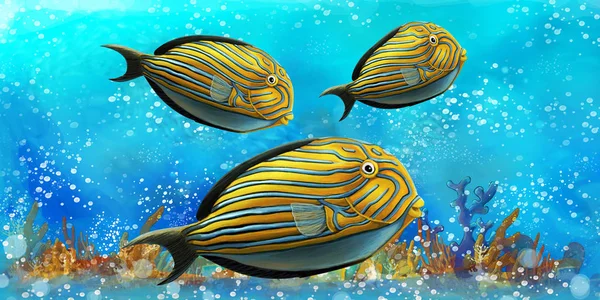 Escena de dibujos animados con peces en el hermoso arrecife de coral reino submarino - ilustración para niños —  Fotos de Stock