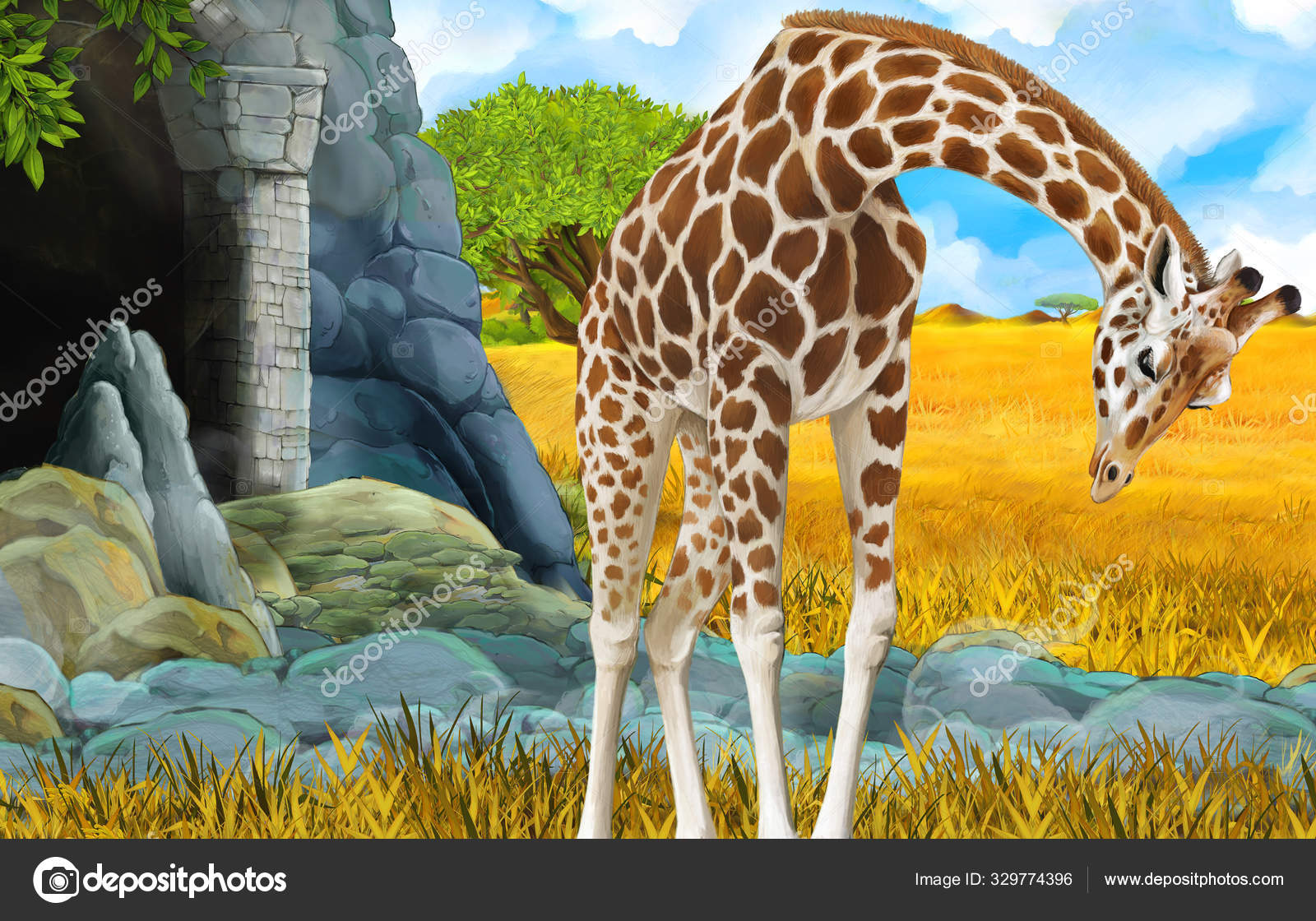 Cartoon wildlife safari scene with lion and giraffe illustration Stock  Photo by ©illustrator_hft 329774396