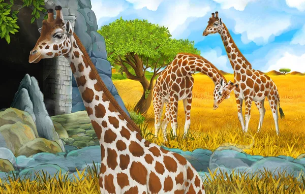 Cartoon wildlife safari scene with lion and giraffe illustration — Stock Photo, Image