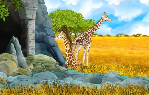 Cartoon wildlife safari scene with lion and giraffe illustration — Stock Photo, Image