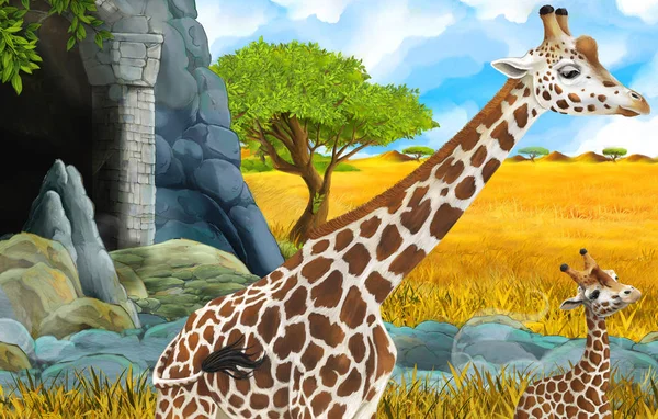 Cartoon wildlife safari scene with lion and giraffe illustration — Stock Photo, Image