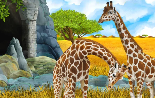 cartoon wildlife safari scene with lion and giraffe illustration