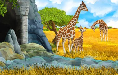 Aslan ve zürafa resimli vahşi yaşam safari sahnesi