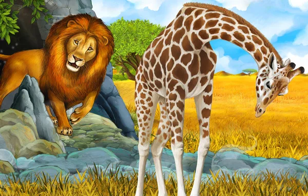 Сцена сафари на льва и жирафа — стоковое фото