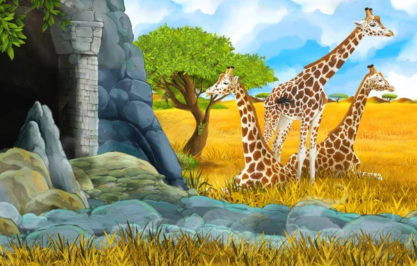 Desenho animado cena safári vida selvagem com leão e girafa ilustração — Fotografia de Stock