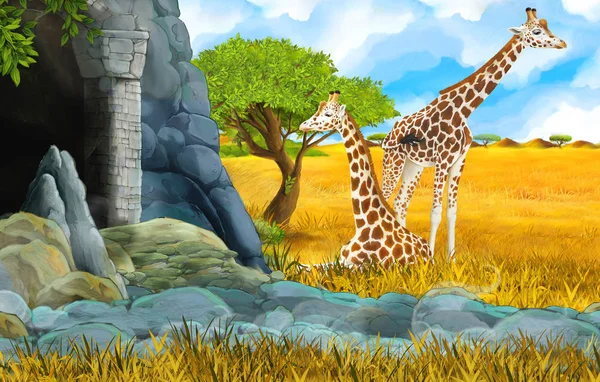 cartoon wildlife safari scene with lion and giraffe illustration