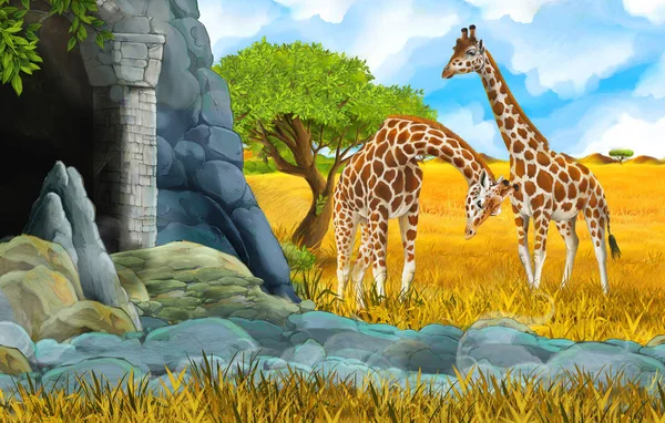 Cartoni animati fauna selvatica safari scena con leone e giraffa illustrazione — Foto Stock