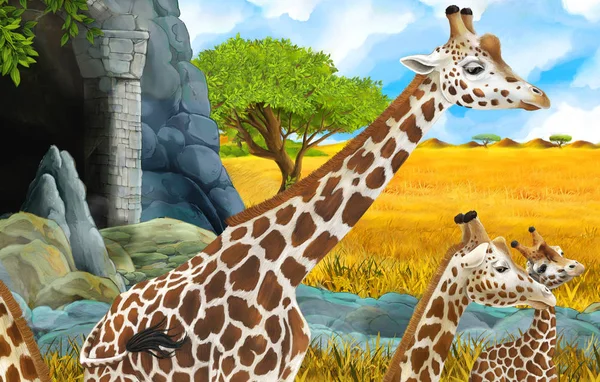 Dibujos animados vida silvestre safari escena con ilustración de león y jirafa —  Fotos de Stock