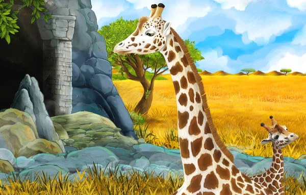 Dessin animé faune safari scène avec lion et girafe illustration — Photo