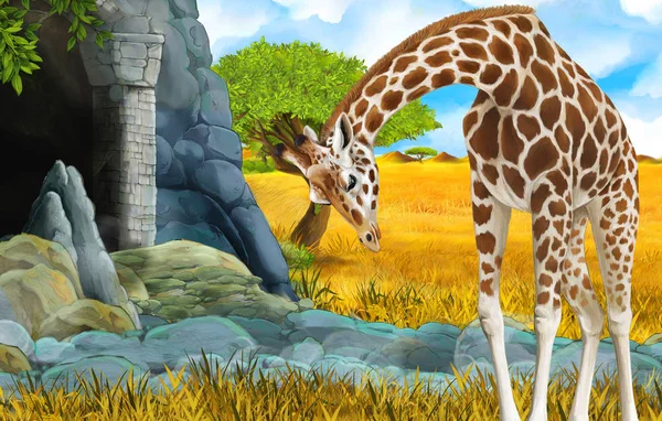 Cartoni animati fauna selvatica safari scena con leone e giraffa illustrazione — Foto Stock