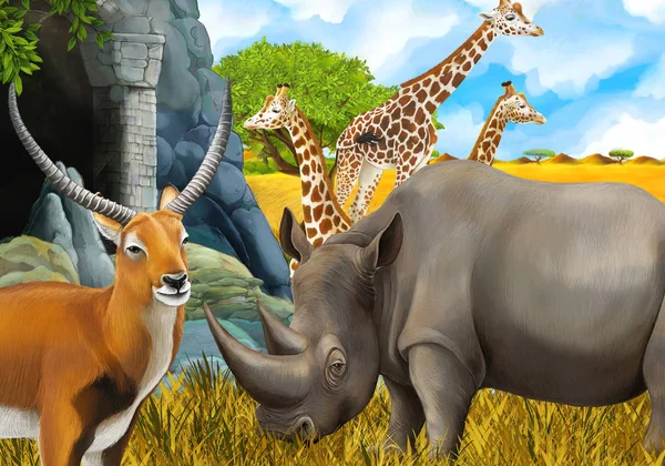 Cartoon safari scene with rhino and giraffe on the meadow near s — ストック写真