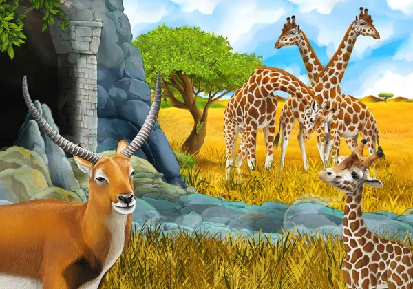 Scena safari dei cartoni animati con giraffe sul prato vicino a qualche monte — Foto Stock