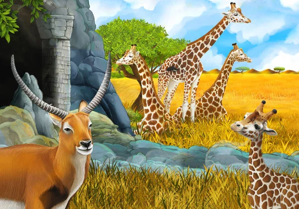 Cartoon safari scene with giraffes on the meadow near some mount — 스톡 사진