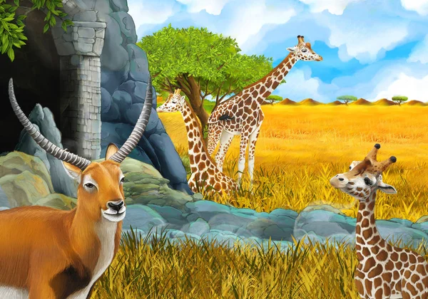 Scena safari z kreskówkami z żyrafami na łące niedaleko jakiegoś wierzchołka — Zdjęcie stockowe