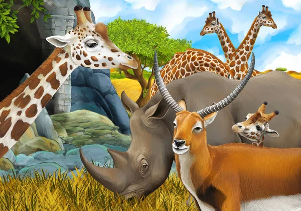 Cartoon safari scene with rhino and giraffe on the meadow near s — ストック写真