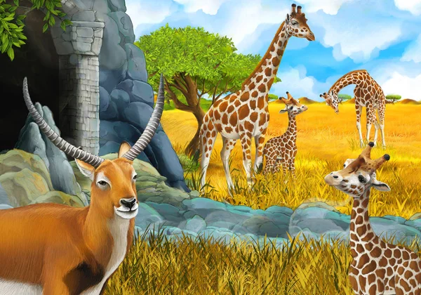 Escena de safari de dibujos animados con jirafas en el prado cerca de algún monte —  Fotos de Stock